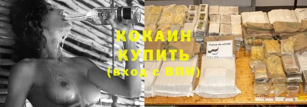 PSILOCYBIN Вяземский