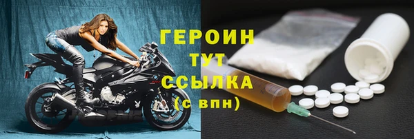 прущие грибы Вязьма