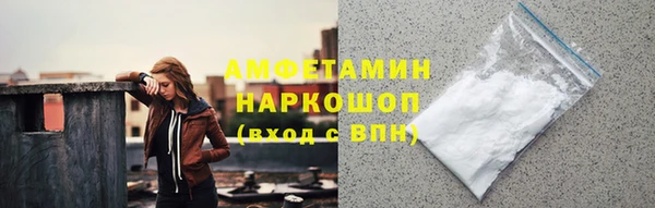 прущие грибы Вязьма
