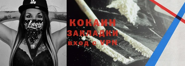 PSILOCYBIN Вяземский