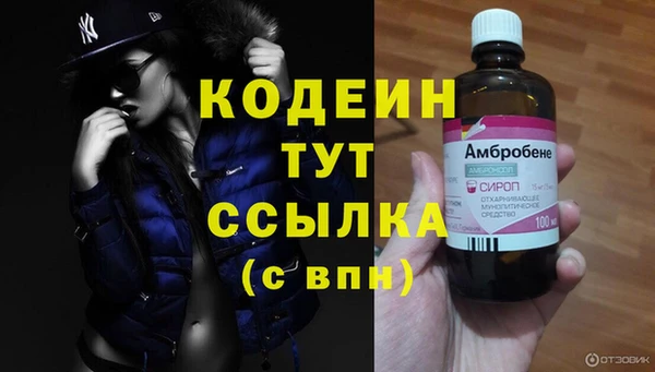 PSILOCYBIN Вяземский