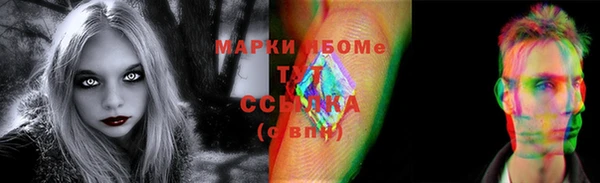прущие грибы Вязьма