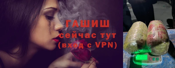 PSILOCYBIN Вяземский