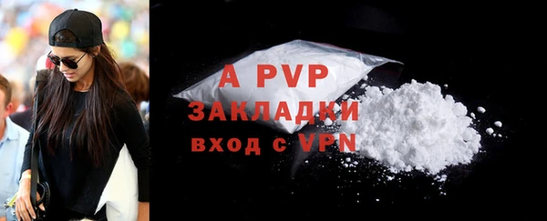 прущие грибы Вязьма