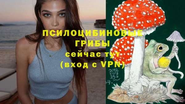 трава Вязники