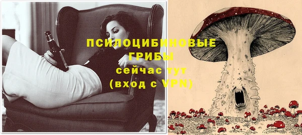прущие грибы Вязьма