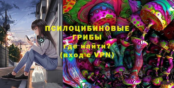 PSILOCYBIN Вяземский