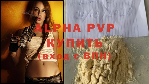 прущие грибы Вязьма