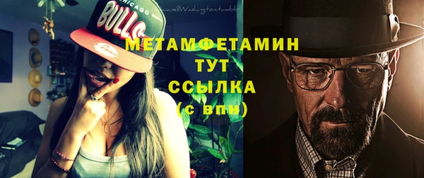 PSILOCYBIN Вяземский