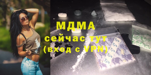 прущие грибы Вязьма