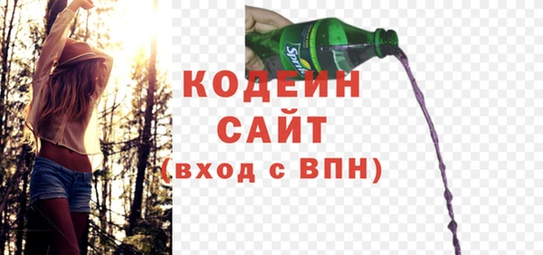 прущие грибы Вязьма
