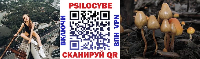 ссылка на мегу как зайти  Нефтеюганск  Псилоцибиновые грибы MAGIC MUSHROOMS 